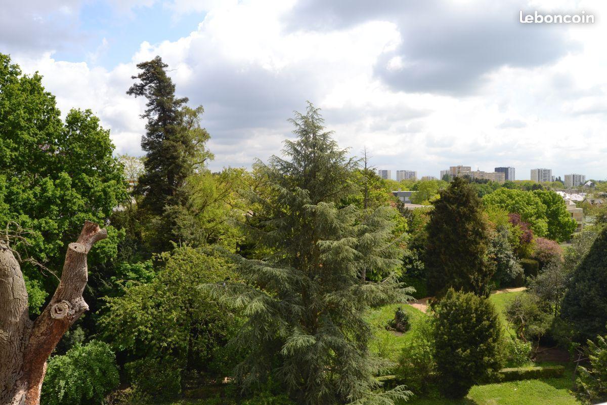 Appartement T3 sainte-thérèse