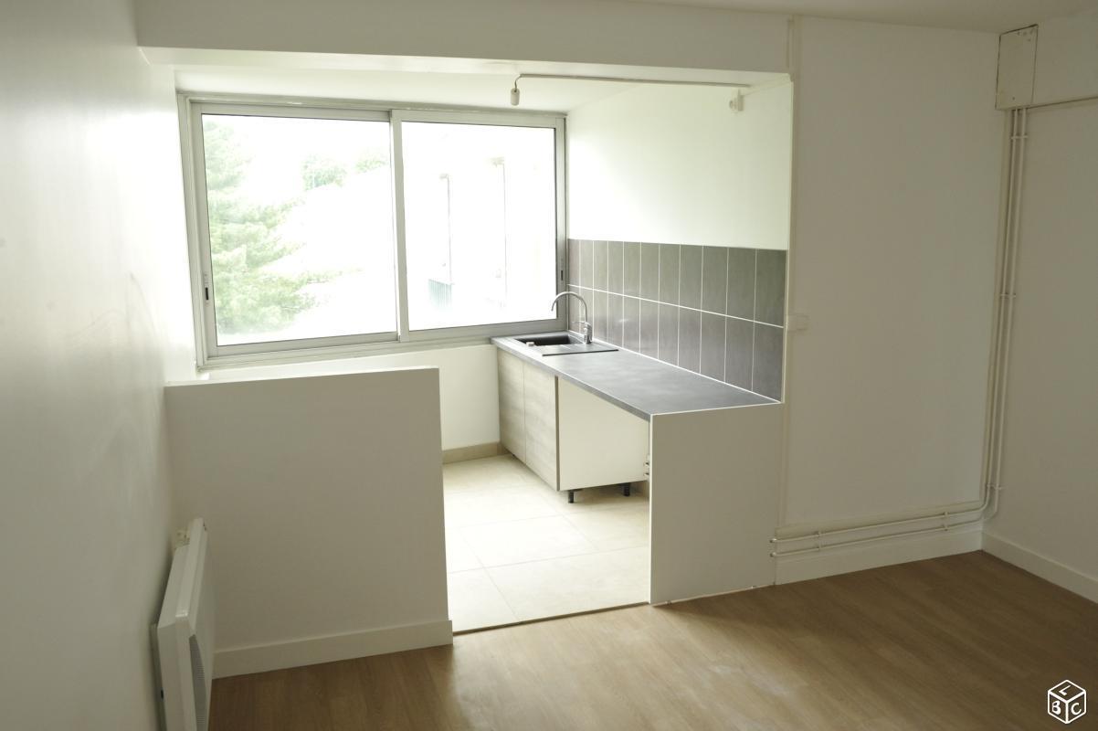 Location appartement 2 pièces  (45160)