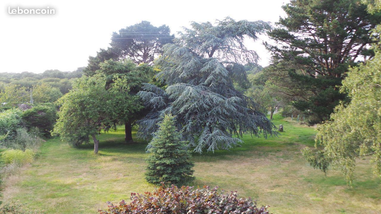 Maison au calme, idéale famille