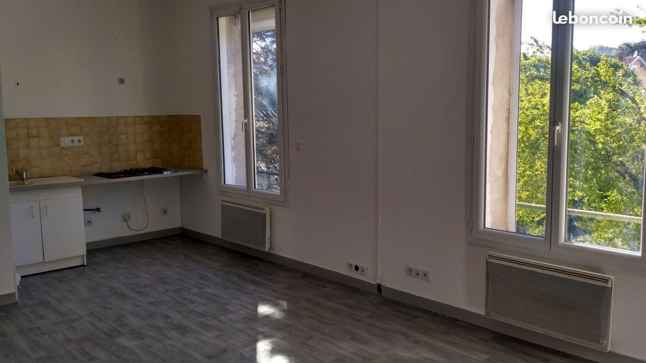 Appartement T2 50m2 centre ville + cave +terrain