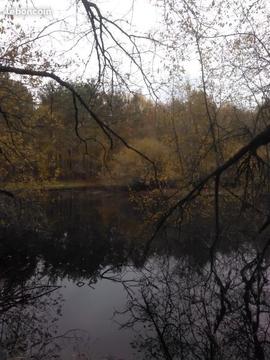 Terrain Mur De Sologne