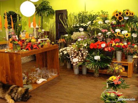 Fond de commerce Fleuriste