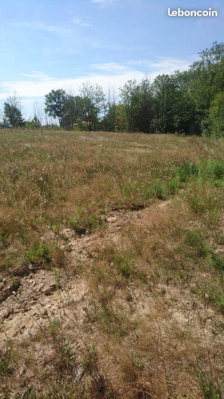 Av terrain constructible de 1786 m2