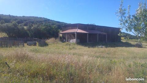 Terrain agricole 6,8 hectares + 200m2 hangar