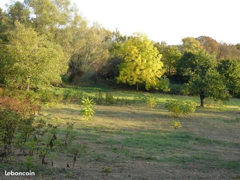 Terrain rare pour amoureux de la nature