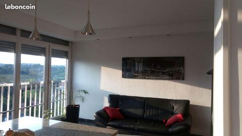 Appartement F 3 Tassin la Demi - Lune