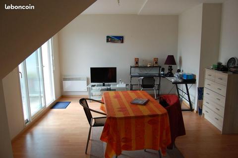 Appartement T1 bis de 40m2 au sol