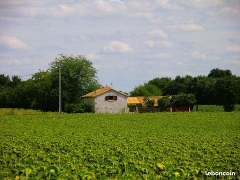 Maison indépendante proche N10 + terrain