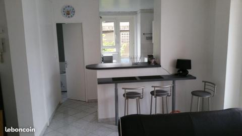 Appartement T1bis hyper centre