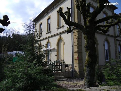 Tres bel appartement terrasse -  (54)