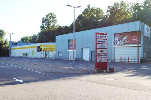 Strasbourg Sud grand local de 650 m2 à louer