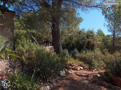 Terrain avec mazet en pierre cadastré