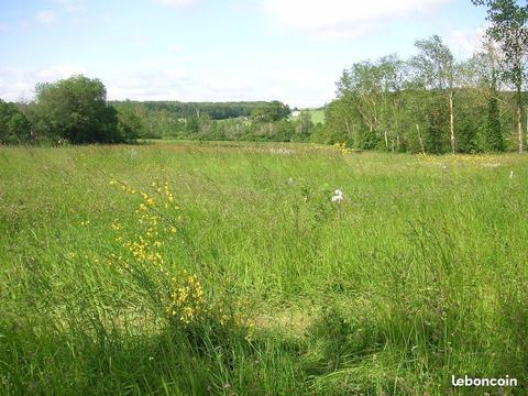 Terrain agricole ou loisir 6140 m²