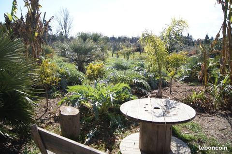 Grande chambre dans maison avec jardin