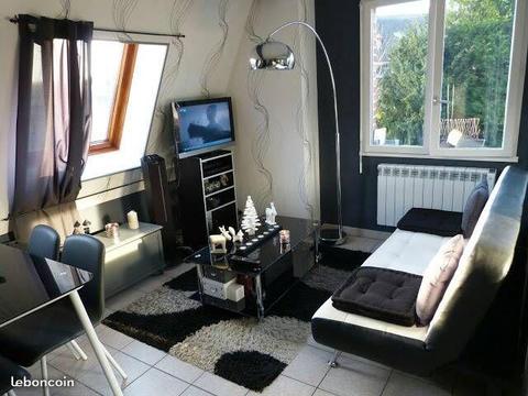 Appartement 46m2 Hypercentre