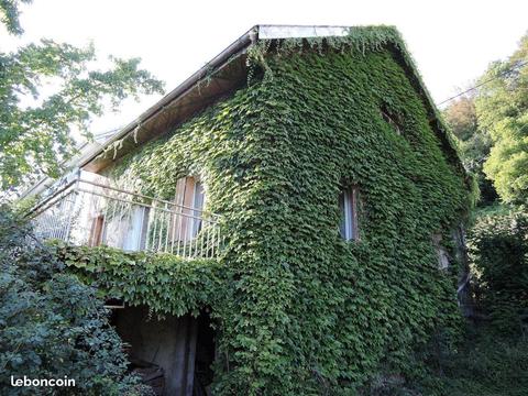 Maison plein pied dans cadre verdoyant