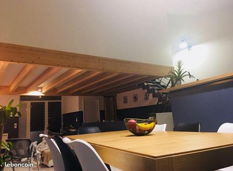 Loft neuf avec terrasses