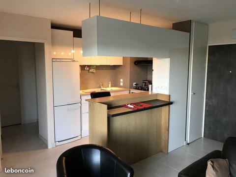 Appartement T2 50 m2