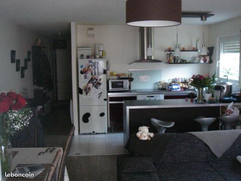 Appartement f2 48m2 + garage a strasbourg