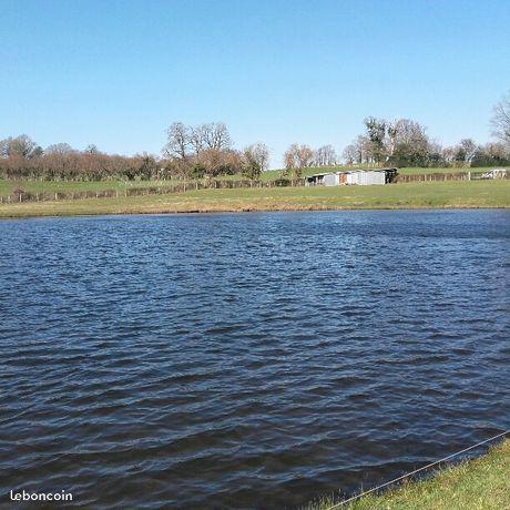 Terrain et Etang