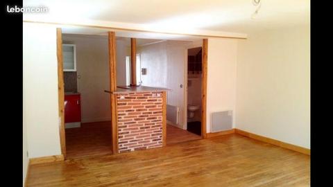 Bel Appartement T2, Centre TRECH