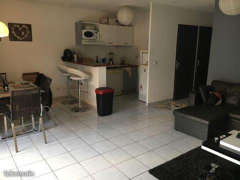 Sous location appartement T2 55m2 + terrasse 18m2