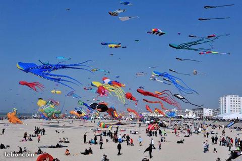 Location week-ends à Berck (cerfs-volants)