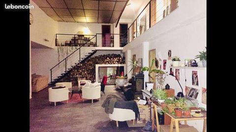 Super coloc à 5 dans grand loft