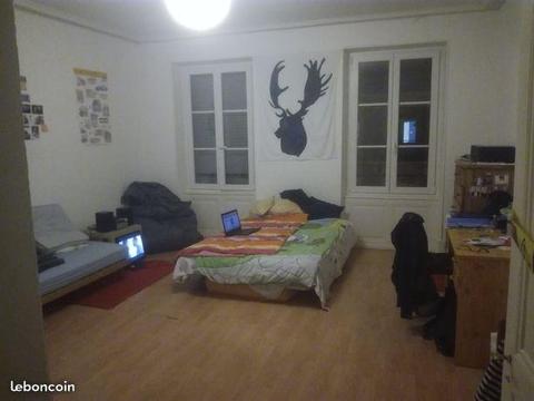 Chambre25m2 dans une colocation juin-août 2018