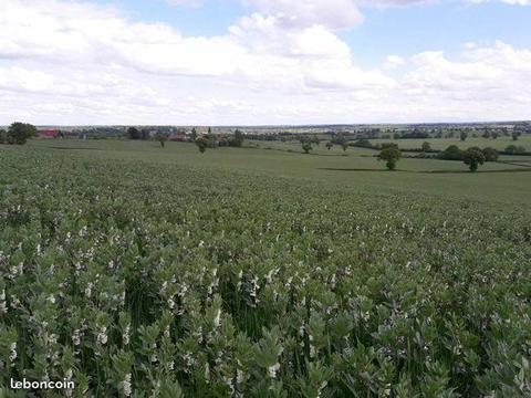 ferme/exploitation en AB de 231 ha