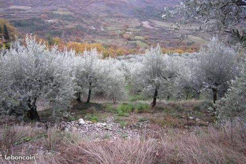 Terrain agricole 6 000 m² Buis Les Baronnies