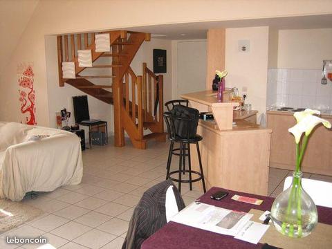 Très beau loft rue nationale 37000 Tours