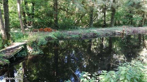 Terrain et son etang